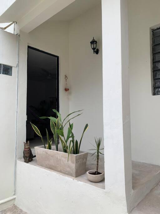 Private Full House With Pool And Cozy Patio Villa Valladolid  Luaran gambar
